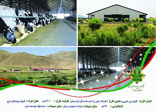 بهره برداری از بزرگترین طرح گاوداری شش هزار راسی شرکت شیر و دام دشت گل کردستان 